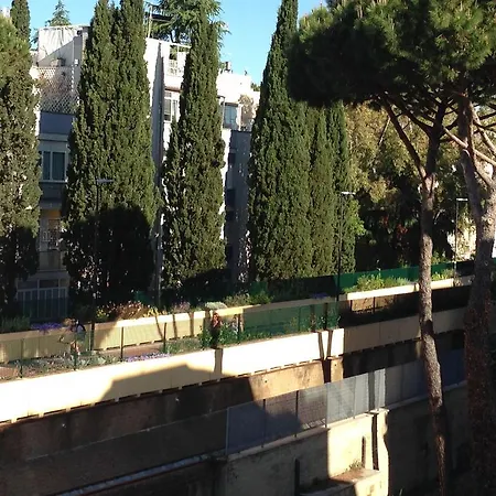 Rosemary * Roma